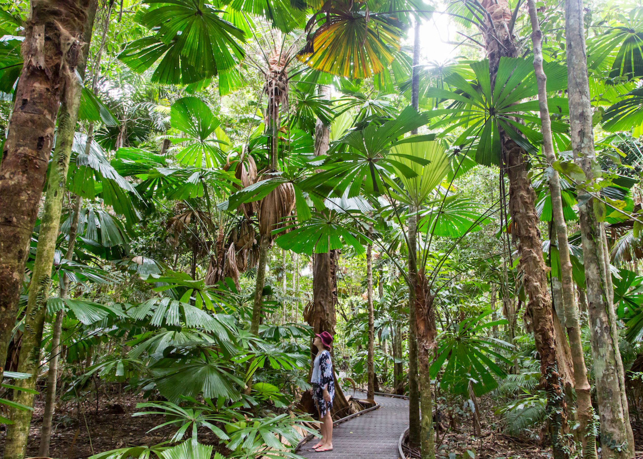 9 Free Things To Do In Port Douglas And Visit Port Douglas Daintree