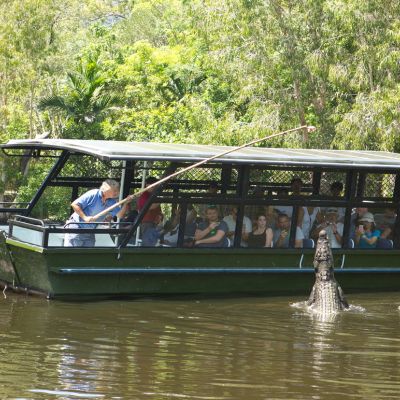 Adventure | Things To Do | Visit Port Douglas Daintree