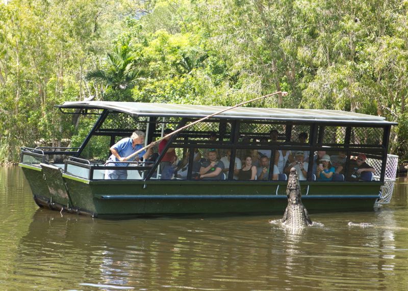 Adventure | Things To Do | Visit Port Douglas Daintree