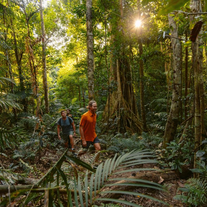 Visit Port Douglas Daintree | Tropical North Queensland