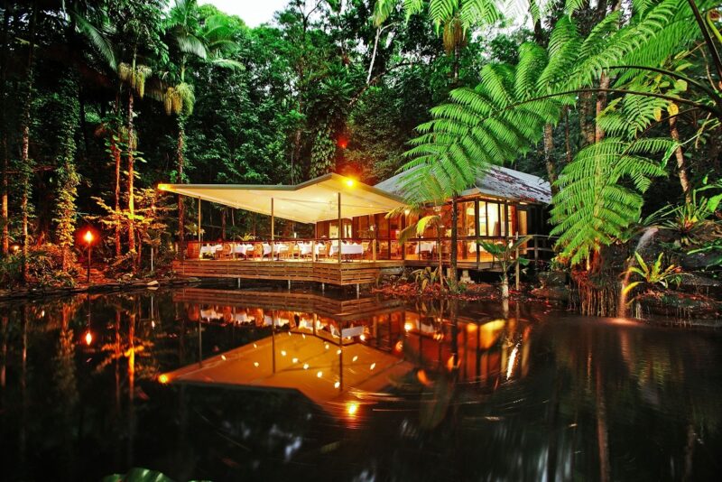 daintree-eco-lodge-restaurant-daintree-rainforest-accommodation