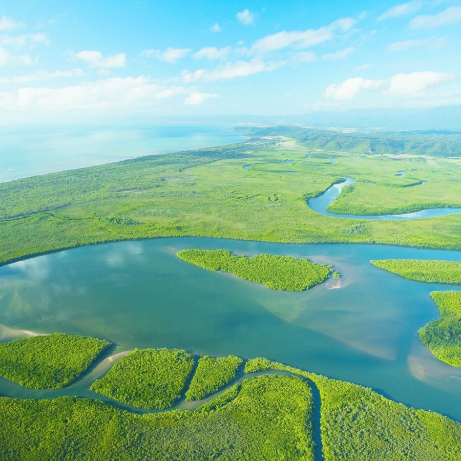 daintree-river