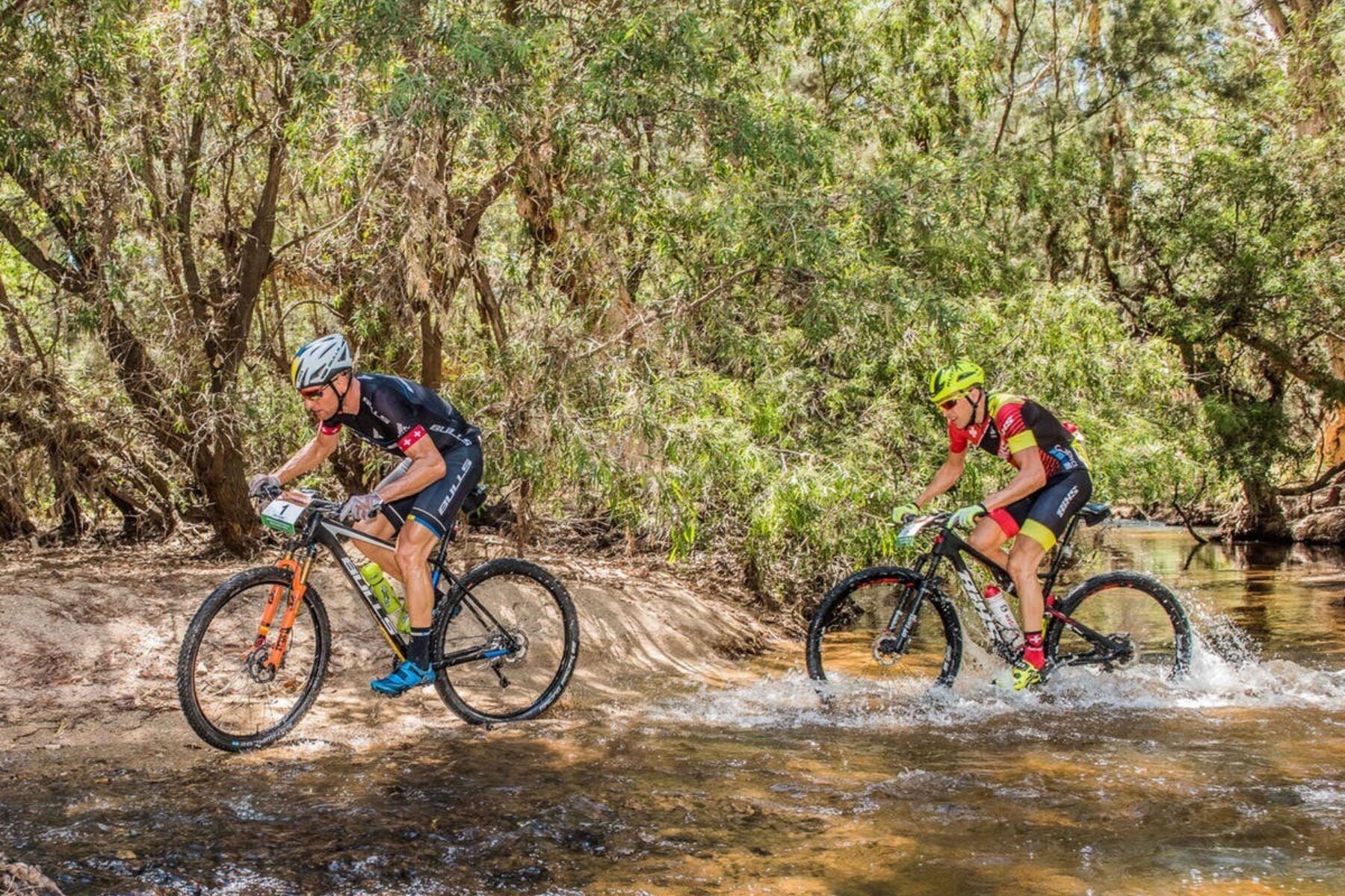 Adventures on Two Wheels: Cycling in Port Douglas Daintree